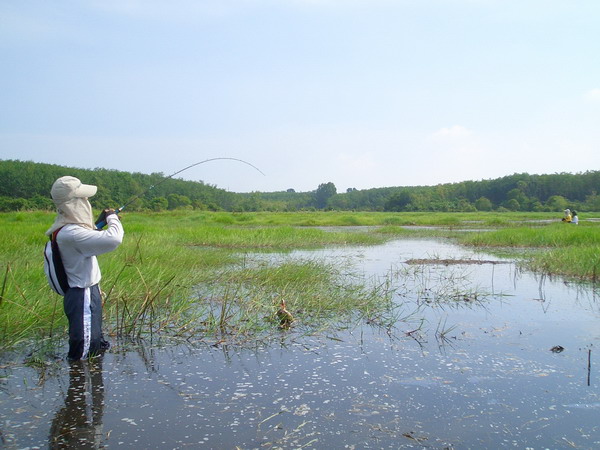 ส่วน โปรโจ   โดน ของใหญ่ เหมือนกัน งัด ใหญ่เลย :cheer: