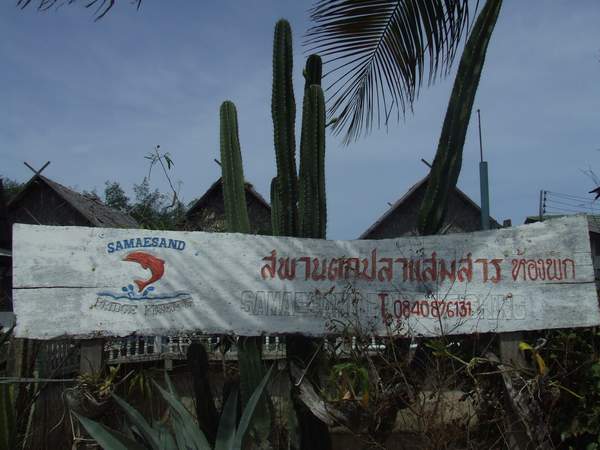 ทริปเล็กๆที่แสมสาร