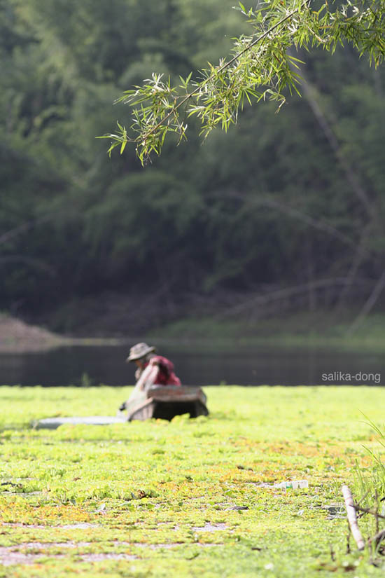 ปิดท้ายที่ภาพนี้ ฝากให้ทุกๆ V สำหรับทุกฝันที่บางครั้งมันก็ยังไม่ชัดแต่ก็สวยงามอยู่ในใจเราเสมอ (จำเขา