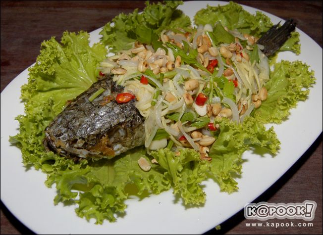 ปลาช่อนลุยสวน
จากสารานุกรมนักหม่ำ

การจำแนกชั้นทางวิทยาศาสตร์ 
อาณาจักร ร้านอาหารทั่วไป
สปีชีส์