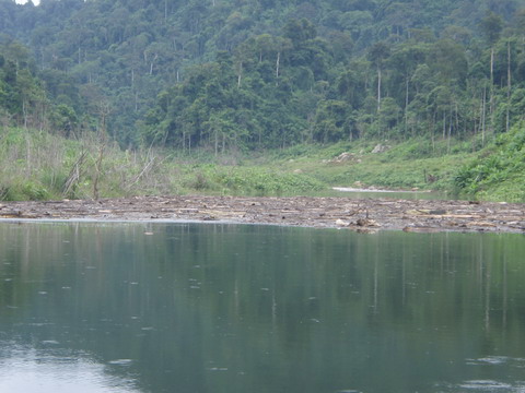 มาที่ด้านบน ต้นน้ำของเขื่อน บ้างดีก่า...
ด้านบน มีธารน้ำตกไหล...แต่ติดตรงที่ 
กองซุงมากมาย มาขวางท