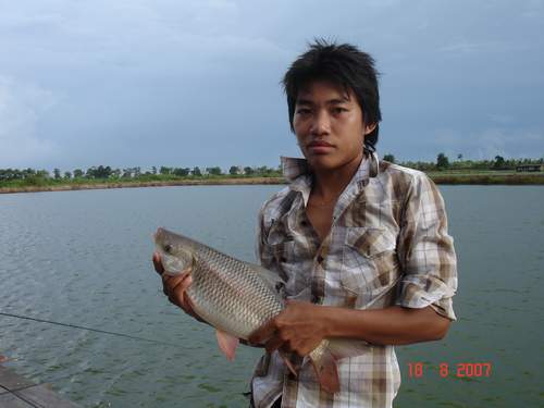 ยี่สก ขนาด 2โลกว่า ๆ (กินไกลครับ)