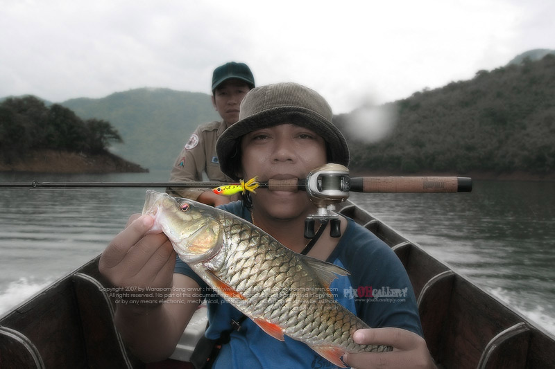 

กิง popper 9cm. คริๆ