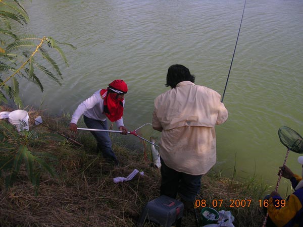                 1. ปลาไซ้ส์ หรือปลากำหนดน้ำหนัก			
                      เป็นส่วนมากที่รางวัลใหญ่ๆจ