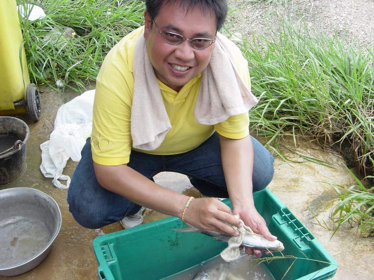 พนักงานล้างจานเอ้ย....ล้างปลาคนใหม่ น้าหนึ่งวันนี้จัดเองเรย :ohh: :ohh: :laughing: :laughing: