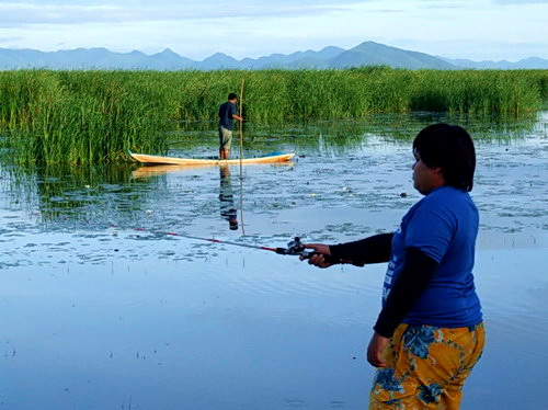 ก้มหน้า ก้มตาตี....ไม่ดูตาม้า ตาเรือ.....
เจ้ากบน้อย ก็ลอยไปติดกะกอหญ้า......
 :laughing: :laughin