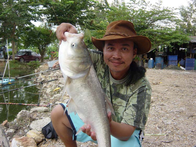 เจ้าเรือดำน้าม ปลาซ่งนี่เอง ตัวใหญ