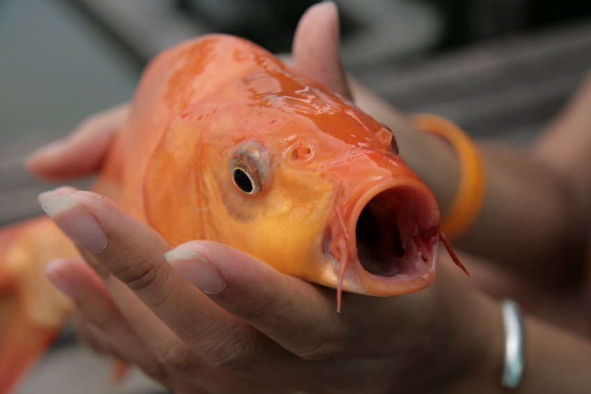 เอิ๊กๆๆๆ มีรูปป๋าต่วย บันทึกพันทาง ด้วย :laughing: