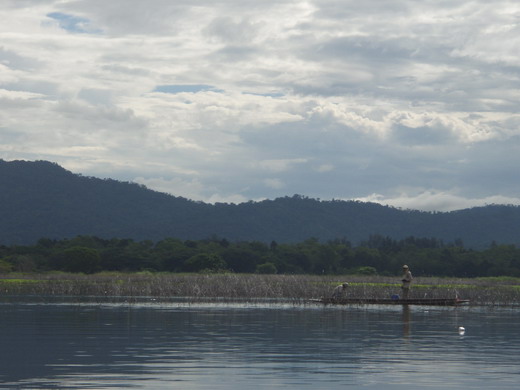 คราวนี้ เจอปลาขึ้น แบบสะจาย รอบเรือ.