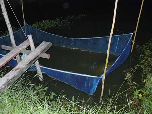 สถานที่เก็บเหยื่อครับ

ได้กุ้งขาวมา