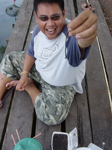 น้าหนึ่งทนไม่ไหวกับเปคู  :sad: ขอแหกสูตรล่อไส้เดือนซะหน่อย :laughing:
เผื่อปลาอื่นมันจะมาแหลกมั่ง :