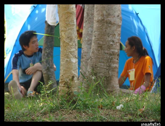 : ภาพจาก พี่กระต่าย


พักผ่อนสบาย ๆ 

              ... Together ...  :grin: :grin:


      