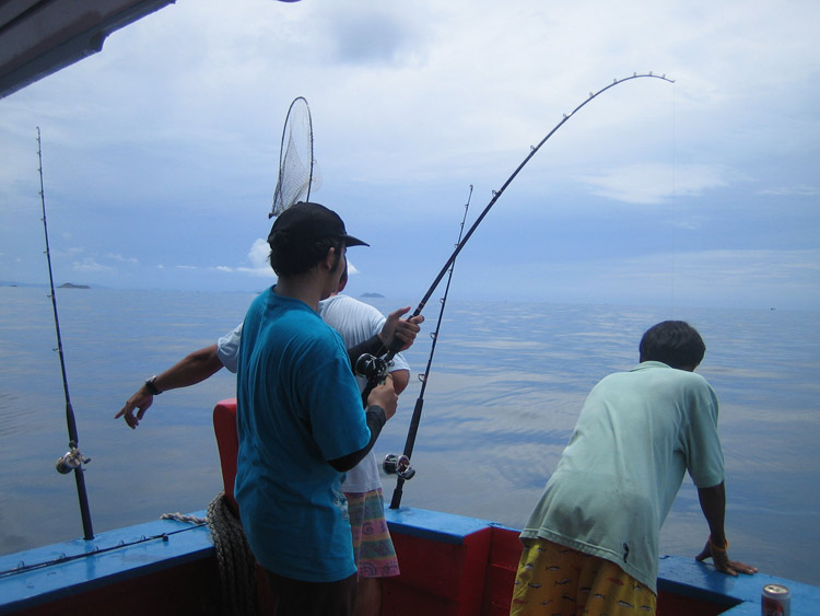อีกพักเดียวท้ายเรือก็มีเสียงเอะอะขึ้นอีกแระ.....

อ้าว เอ๊ะ นั้น  น้าทีตกหมึกได้แว้ว.........กะลัง