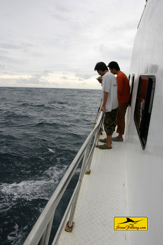 ที่หัวเรือขึ้นมาอีกตัว 