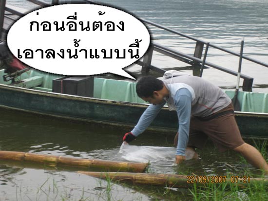 หันมาอีกที  อ้าว.....วิทย์เล่นอารายหว่