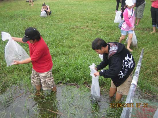 เอ...แล้วทำไมเพื่อนๆ นายเบียร์ไม่มาป