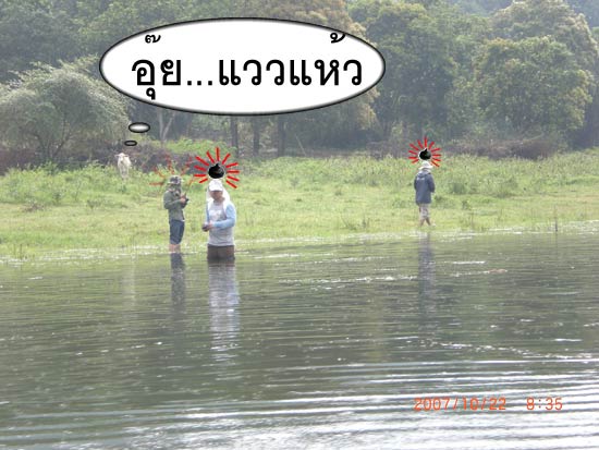 ขนาดย้ายหมายแล้ว แววแห้วยังตามมาอีก โดยเฉพาะน้าโหน่ย  แววแห้วมานลางๆ เหมือนจะกลับมาอีกครั้ง

 :lau
