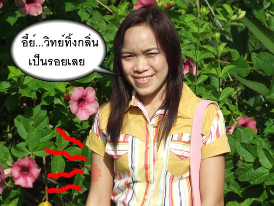 น้าวิทย์เคลียร์เองครับ  ภาพมันฟ้อง

 :laughing: :laughing: :laughing: :laughing: :laughing: :laugh