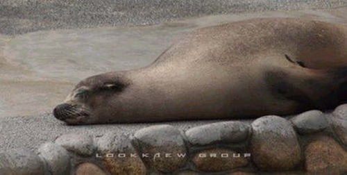  :sleeping: :sleeping: :sleeping: :sleeping:
