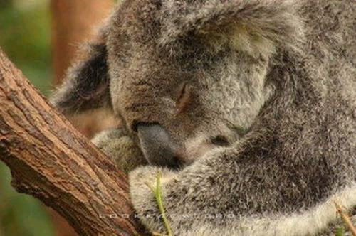  :sleeping: :sleeping: :sleeping: :spineyes: :spineyes: :sleeping: :sleeping: