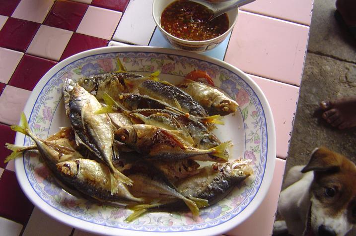 พร้อมน้ำพริกเกลือ แซ่บ แซ่บ....