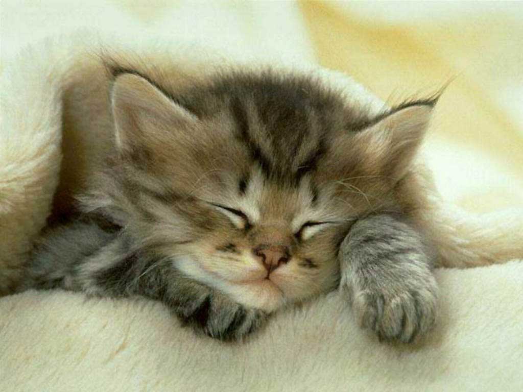  :sleeping: :sleeping: :sleeping: :sleeping: :sleeping: