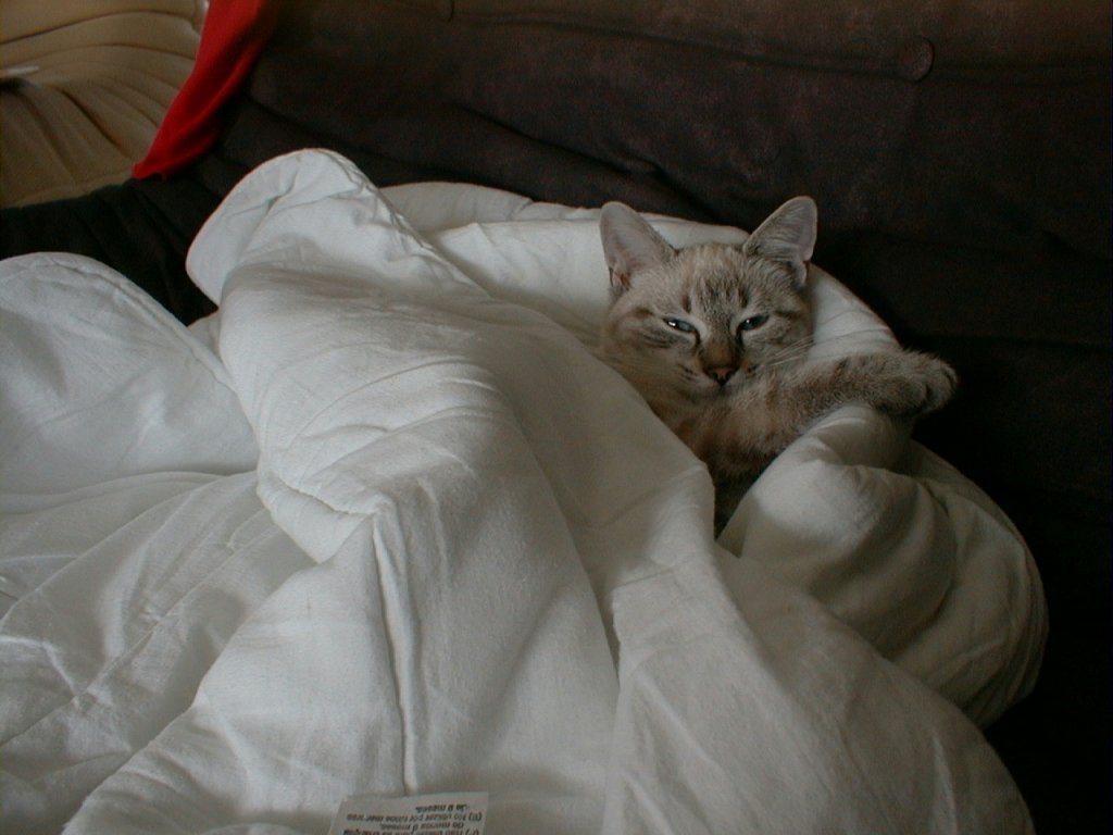  :love: :love: :blush: :blush: :sleeping: :sleeping:
....นกขอตัวนอนก่อนน๊า  ง่วงแล้ว .... :sleeping