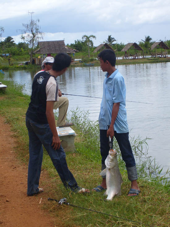 ตัวนี้ของใครจำมะได้ครับ  ถ้าจำมะผิดของน้าน้องครับ:laughing: