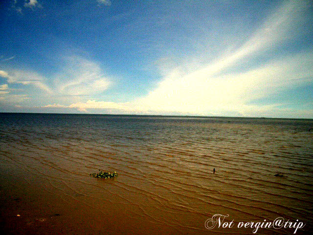 ถ่ายบรรยากาศ มาให้ชมนิโหน่ย เพื่อน