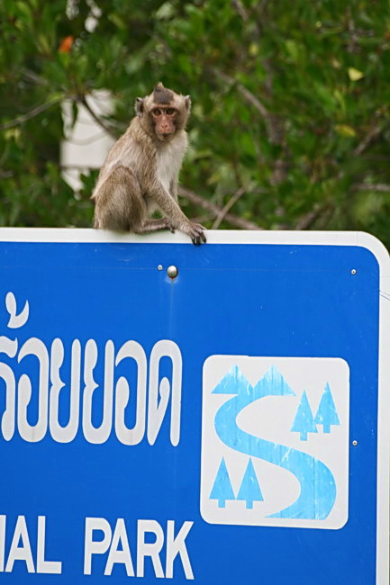 ป่อ...ป่อ......อันหลังนี่..มานตัวไรอะป่ออออ......นู๊กลัวววว....ฮือ..ฮือ...
 :grin: :grin: