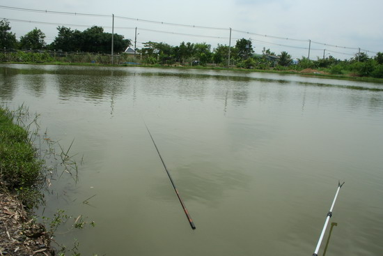 แล้วคันก็ลงไปว่ายน้ำตามที่ น้า sarat.L ทักไว้เชียวครับ... :laughing: