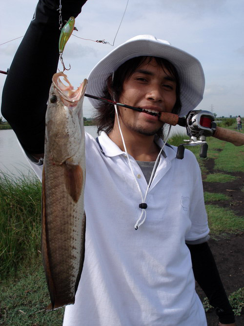 ส่วนหมอนี่ น้าเดียร์ ปลาช่อนของถนัดของมัก.......... :cool:

ฝีมือนี้ได้มาม่ใช่เพราะโชคช่วย เพราะสิ