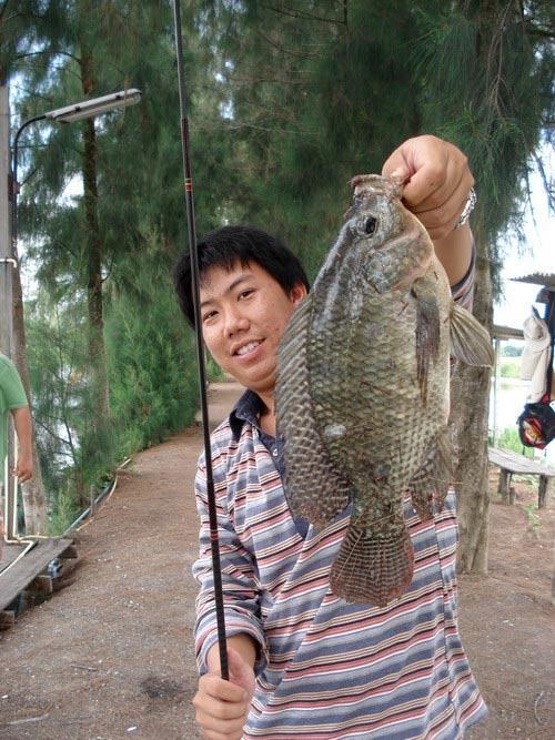 แหม........ปลานิลก๊ะตกเปนนะวุ้ยยยย.....หลิวดิ้ หลิวดิ้ หลิวดิ้...... :love: :love: