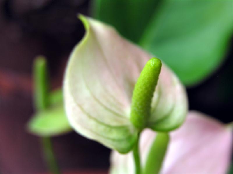  :grin: พอมึน ๆ กะลังดีเลยโจ้ ... เอ๊ย ... เอิ๊ก ๆๆๆ  :spineyes: :spineyes: :spineyes: