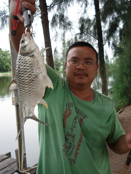 ตะเพียนตัวไม่น้อยแร้วก้อไม่ต่อยใช