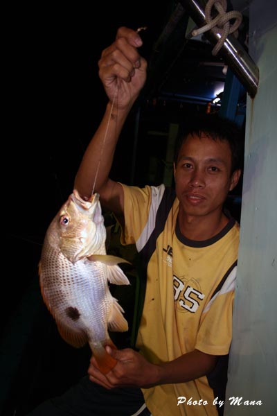 เข้าหมาย
น้าต้นก็ได้ไอ้ตัวนี้ :cheer: