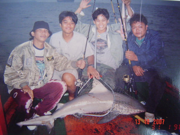 ย้อนอดีตฉลามที่เกาะสีชังกับไต่จุก