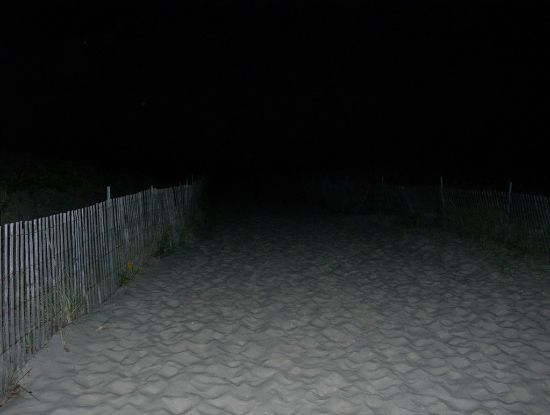 ทางเดินเป็นทรายแบบนี้ยาวประมาณ700เมตรครับกว่าจะถึงชายหาด. ใส่เวเดอร์เเล้วเดินบนทรายนี่ลำบากมากครับหน
