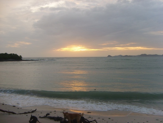 ชายหาด ชายหาด ยังไงก็ ชายหาด โดย พลพรรค ตะหานน้ำ