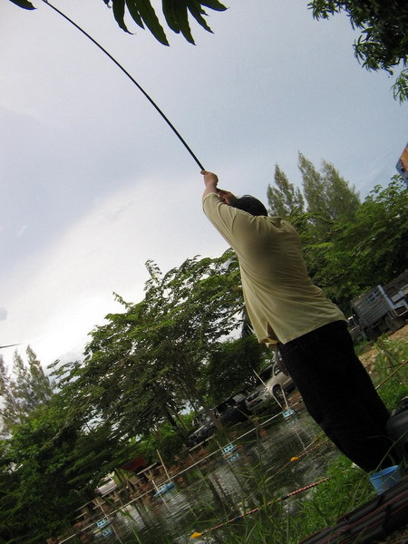 น้าติ่ง....ก็ไม่น้อยหน้า..........เพราะเห็