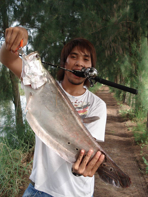 ได้ยินเสียง เอิ้วววววๆ.............อยู่ท้า