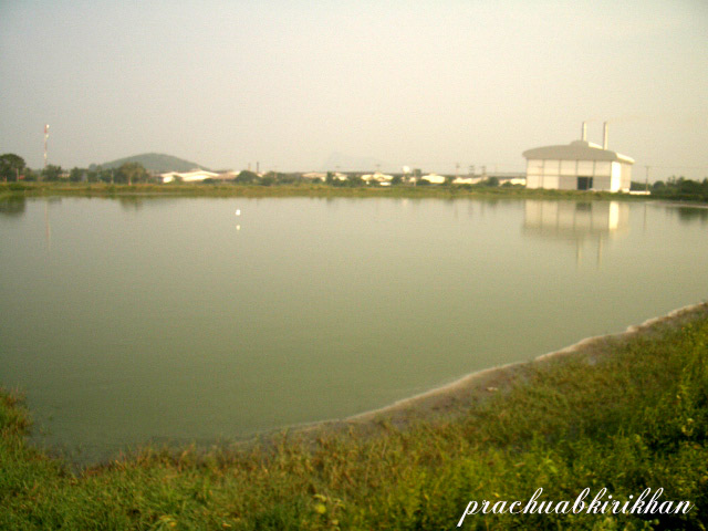 แวะมาเที่ยว หมายดังในอดีต... ชะโดมากมาย...หลังโรงงาน

สัปปะรถนั่นเอง.... ใครเคยมาบ้างเอ่ย...  :gri