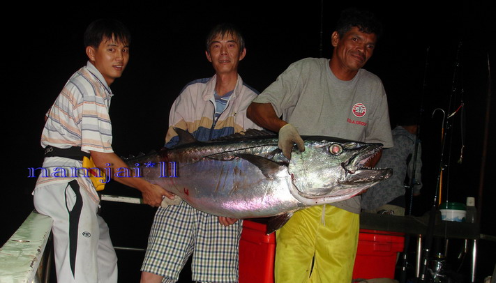 ท้ายเรือก็ขึ้นมาอีกตัวอยู่กัน ปลาด๊อกทูสอยู่กันเป็นฝูง เล็กบ้างใหญ่ ขาดก็เยอะ