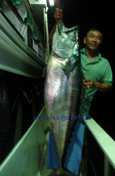 อ้าว  น้า ตี๋ใหญ่ กัปตันเรือน้ำใจ ขอ