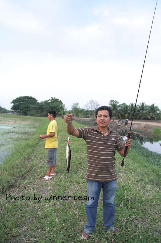 ตกได้ซักพักน้าหมูก็ได้ปลาช่อนมา1ตัว :smile: :smile: