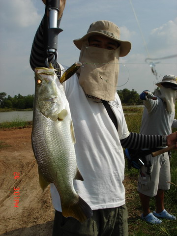 น้าอ๊อดหล่อไม่เลิก.... :blush: :blush:

ยาวไปเลยเพ่...... :blush: :blush: :blush: :blush: