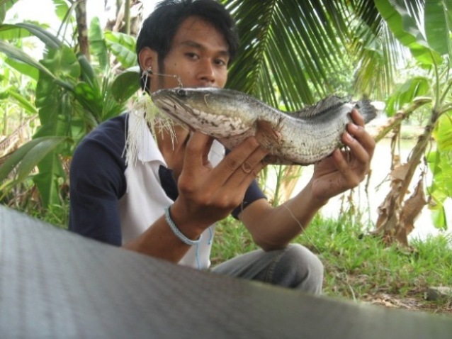 อีกทริป