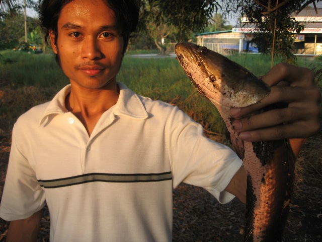 อีกรูป