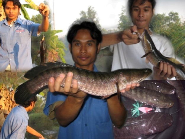 รวมๆ