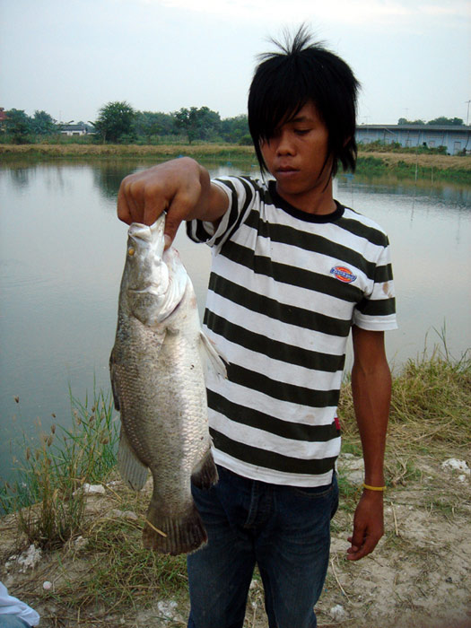 เพื่อนฝูงไม่อยู่ .. เรียกน้องๆมาเป็นนายแบบให้ครับ